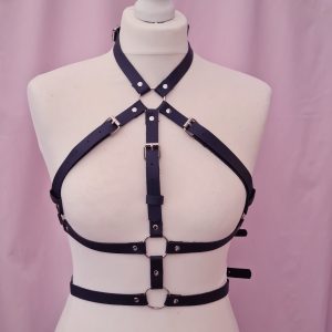 5 Point Harness