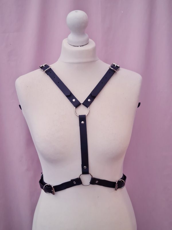 Wing Harness - Image 2