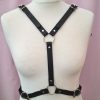 Wing Harness - Image 3