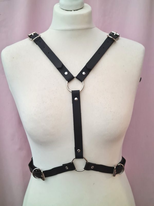 Wing Harness - Image 3