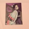 Demon Slayer Shinobu A5 Clear File