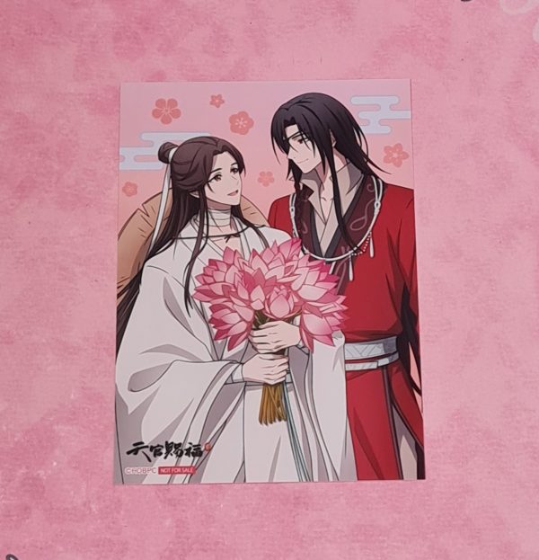 Heaven Official's Blessing Xie Lian & Hua Cheng Photo