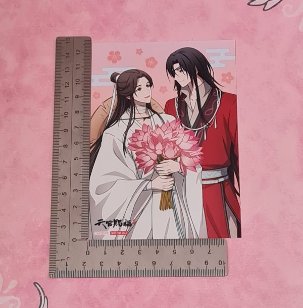 Heaven Official's Blessing Xie Lian & Hua Cheng Photo - Image 2