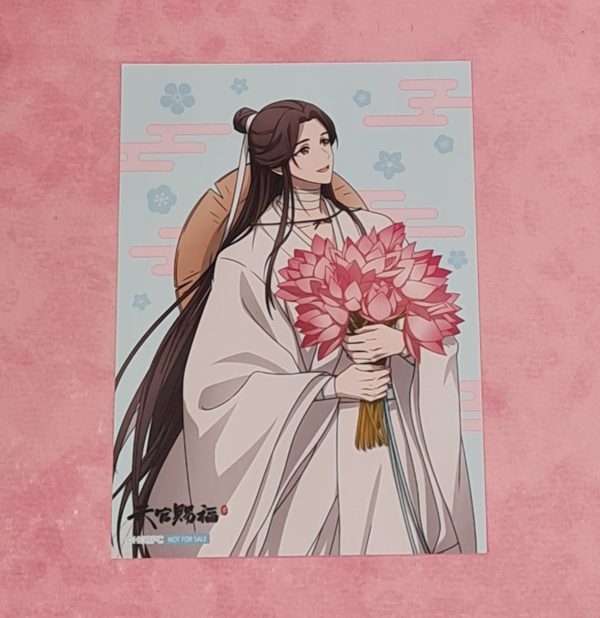 Heaven Official's Blessing Xie Lian Photo