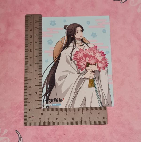 Heaven Official's Blessing Xie Lian Photo - Image 2