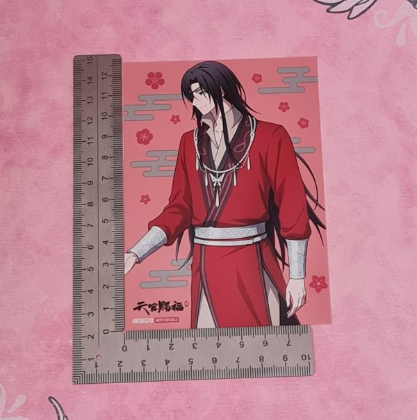 Heaven Official's Blessing Hua Cheng Photo - Image 2